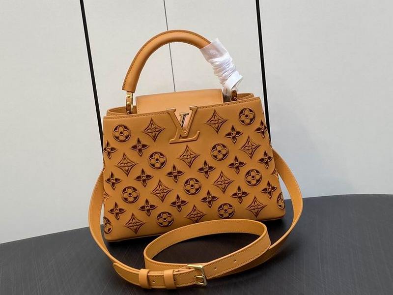 LV Handbags 104